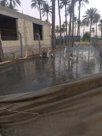 الدوره البوعيثة • ١٢٥م • طابو زراعي