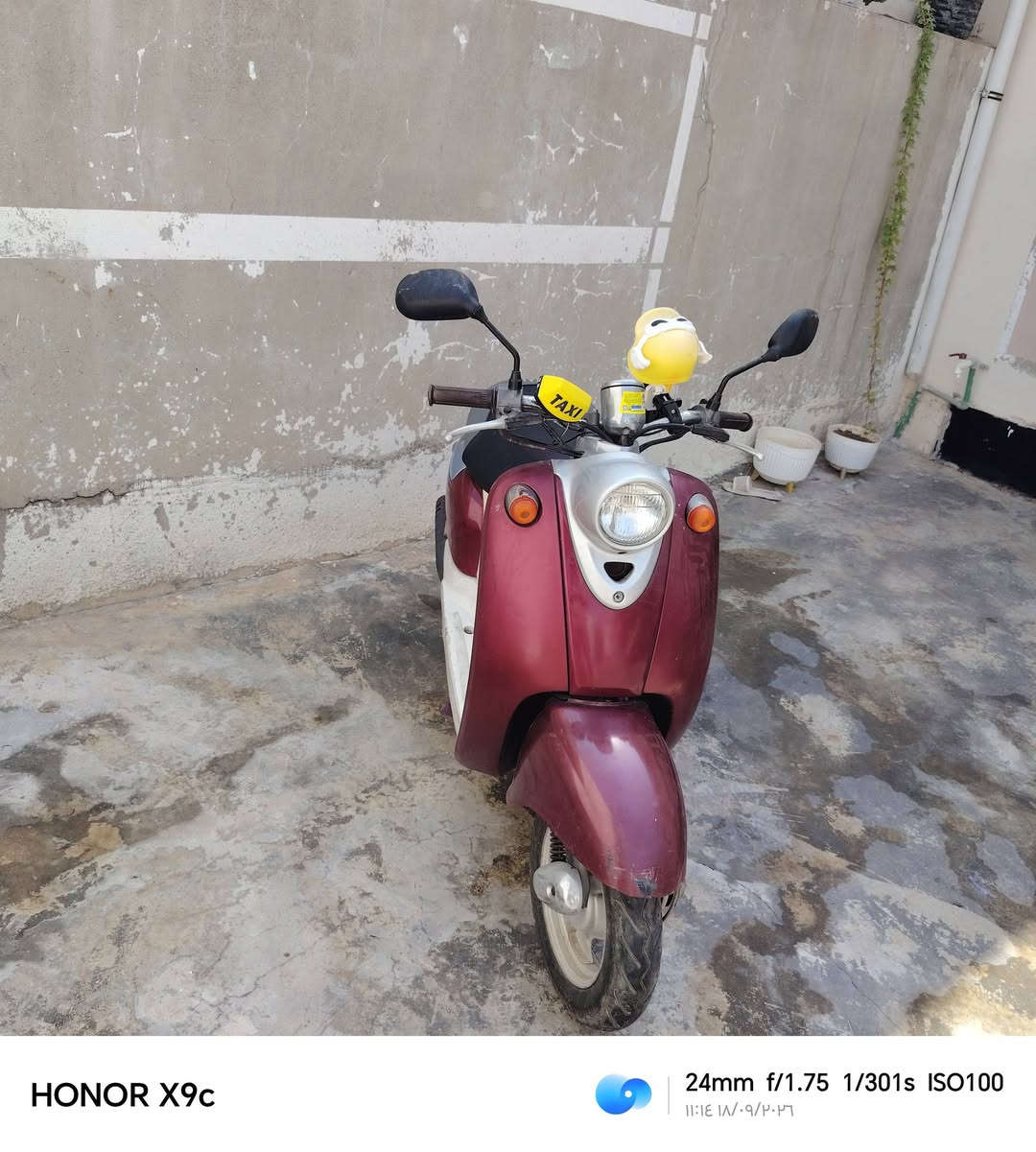 سلام عليكم  للبيع الدراجه جديده   ابلاديه برغي ما مفتوح  السعر 550 بيه مجال بصيط  مدينه كركوك شارع النخيل ***********رقمي

نص مكتوب في الصور:
- HONOR X9c 24mm f/1.75 1/827s ISO100 ١١:١٣ ١٤٠٢/٠٩/٢٠
- HONOR X9c 24mm f/1.75 1/301s ISO100 ١١:١٤ ١٨/٠٩/٢٠٢٦