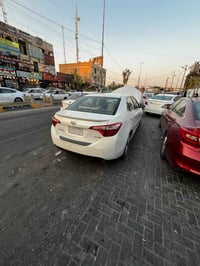 كورلا وارد امريكي • ٢٠١٦ • رقم بابل