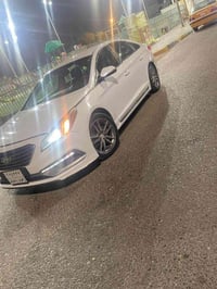 سبورت • ٢٠١٧ • وارد أمريكي