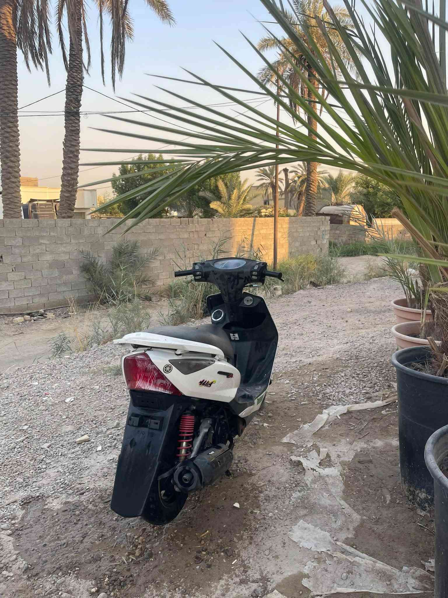 السلام عليكم دراجه ثعلب للبيع بيهه نواقص قليله راسلني وبخدمتك سعر 550 وبيهه مجال العنوان شهداء البياع للستفسار ***********

