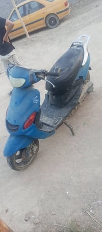 فراشه خطين • نضيفه • الشافعيه