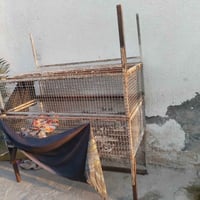 قفاص مال دجاج • سعر مناسب • نظيف