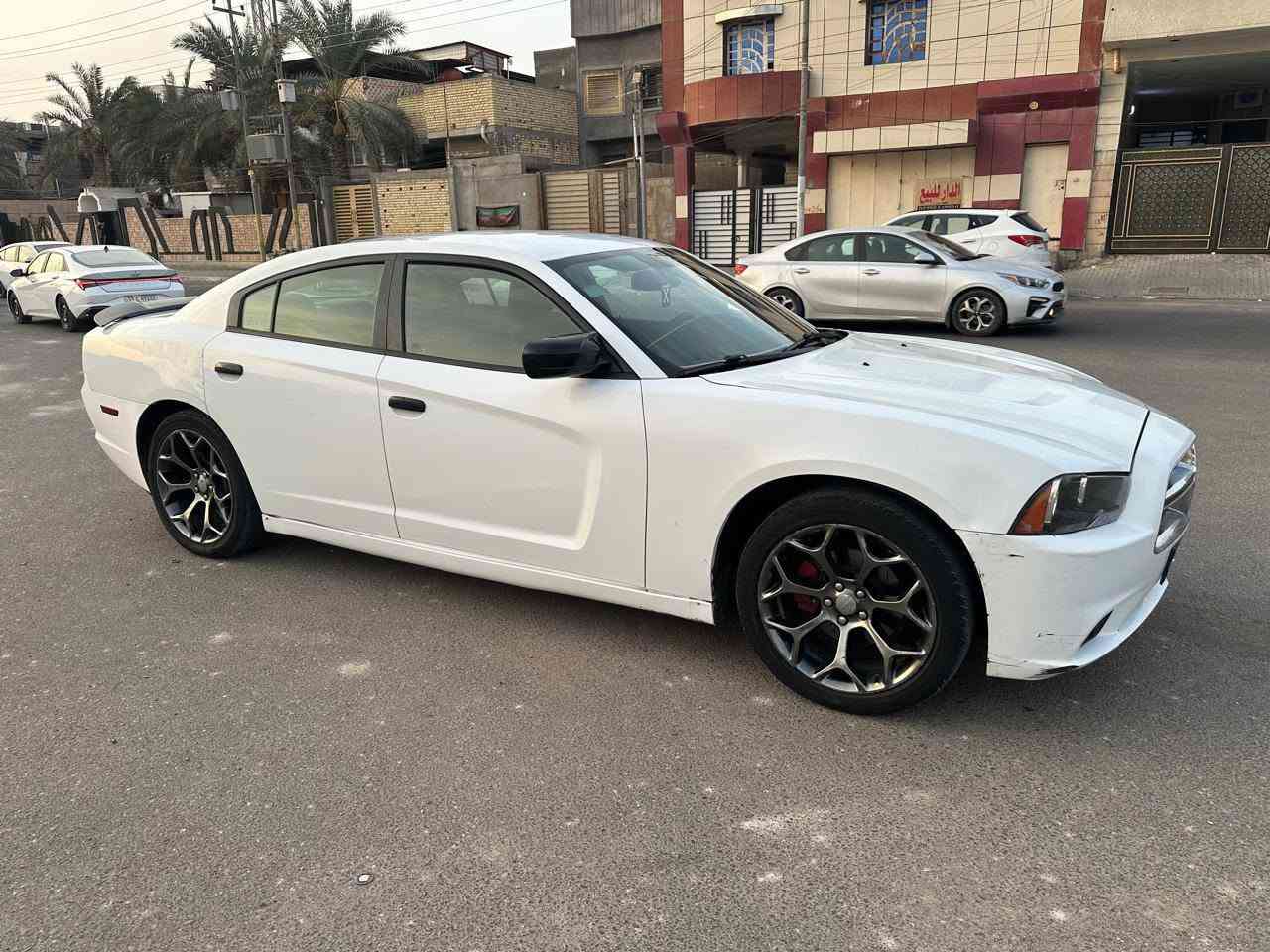 جارجره • ٢٠١٤ • البصره