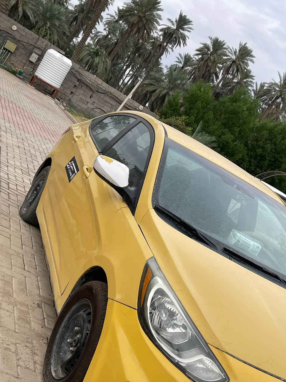 اكسنت • ٢٠١٣ • عاطلة