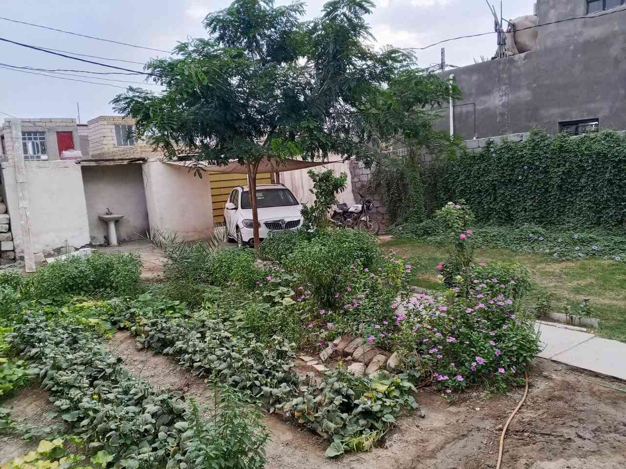 الدغارة • قرب جسر الحولي • غرفتين