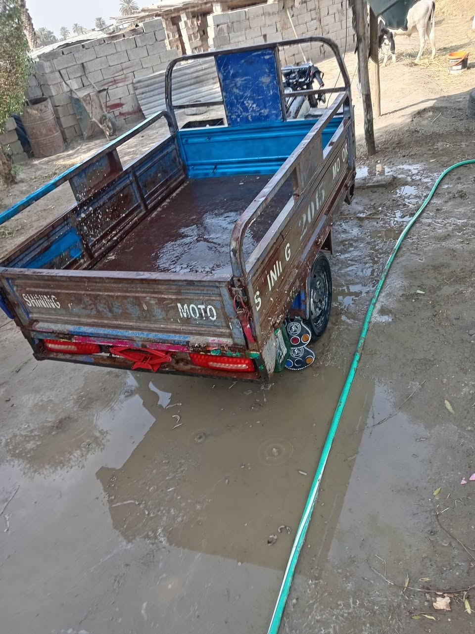 ستوته جمره • ٢٠١٤ • اوراق