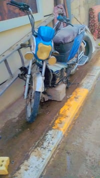 هارلي • تفصيخ • شحن
