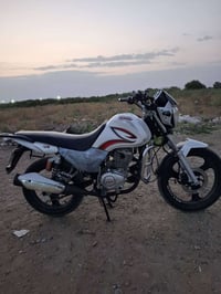 ساو • موديل 24 • أوراقه كامله