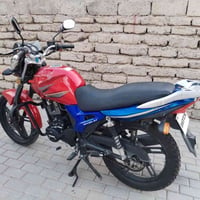 فينوم بلادي • ٢٠٢١ • سلف وهندل