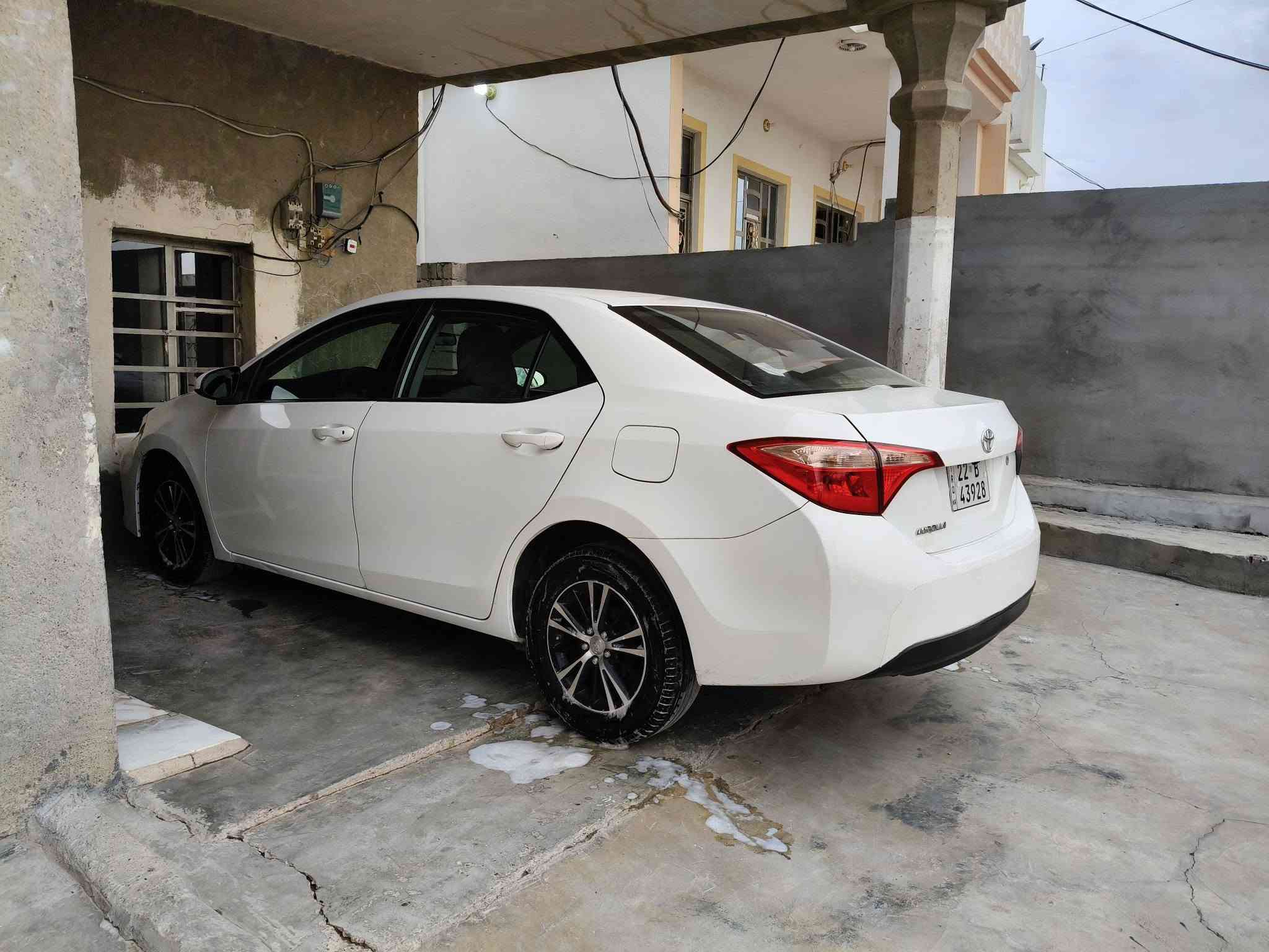 كورلا • ٢٠١٧ • رقم اربيل