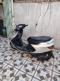 فراشه • نثيه • حك الجيه
