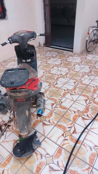 مراوس • سكنس جبلي