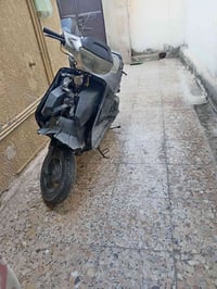 فراشة • نكرة • سلف
