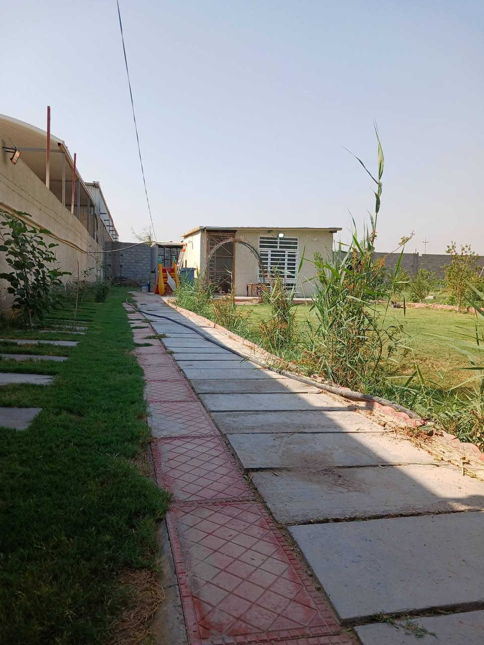 للبيع فقط مزرعه مساحه نص دونم يعني ١٢٥٠ متر وجه ٤٠ متر طابو زراعي سند ٢٥ تتحول على طابو المحموديه بسم واحد ركن على شارعين مكانه حلو ومميز قرب مركزشرطةالرضوانيه بيها ماء أساله وكهرباء وماء بزل مزروعا نخل برحي وزيتون وموز ورمان وعنب وبرتقال وتكي وتفاح موجود فيديو موضح كلشي بيها للاستفسار اتصل مكتب دارك للعقار واتساب *********** ***********
