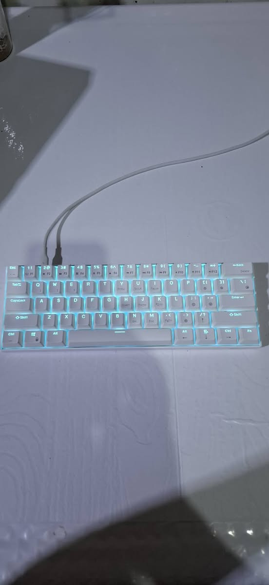 ​كيبورد الميكانيكي Royal Kludge RK61 ⌨️🔥
يدعم 3 وضعيات اتصال (وايرلس، بلوتوث، ودنجل).
الملحقات كاملة، ويجي وياها سيت أزرار (Keycaps) إضافي بلون مختلف لتغيير الشكل على ذوقك!
​للطلب أو الاستفسار مراسلة الصفحة أو التواصل:
​واتساب: ***********

