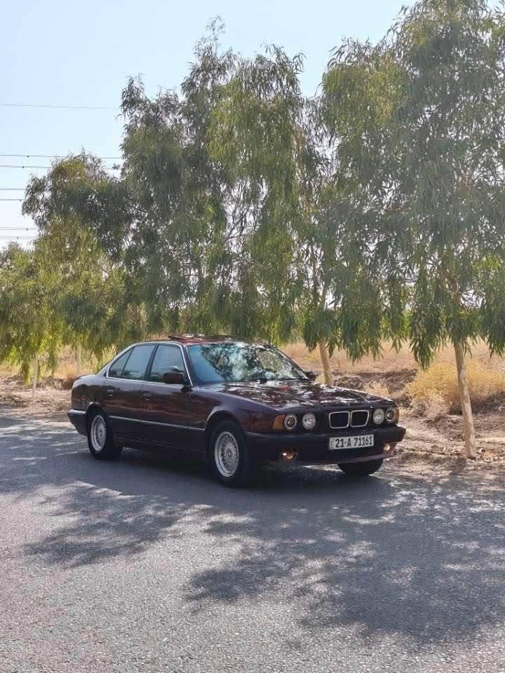 *********** كركوك, العراق
