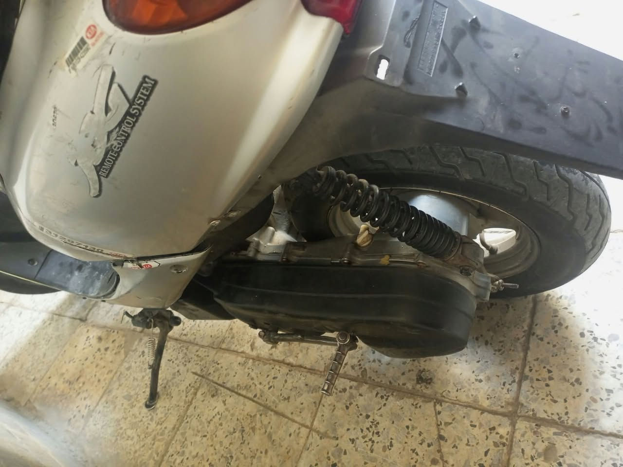 عصفور • سلف وهندل • بوش وبستم