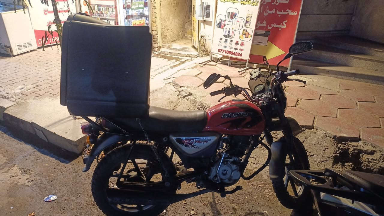 بوكسر • جبلي • مرقمة