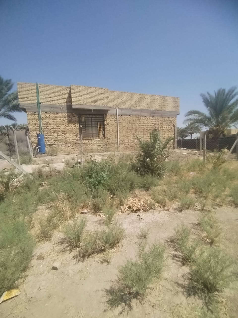 السلام عليكم 
كاع 3 دوانم سند 25 للبيع من ضمنهه بيت 200 متر وحديقه 300 متر بناء جديد الكاع بيهه 70 نخله واشكال الفواكه والتمر بل حديقه مي اساله ومي سكي كهرباه فول مولد شارع تبليط للباب اقرب نقطه داله (قرب مجمع الكوثر) السعر 300 مليون وبيهه مجال 
الرقم (***********)
( ***********) مكلف بل نشر
