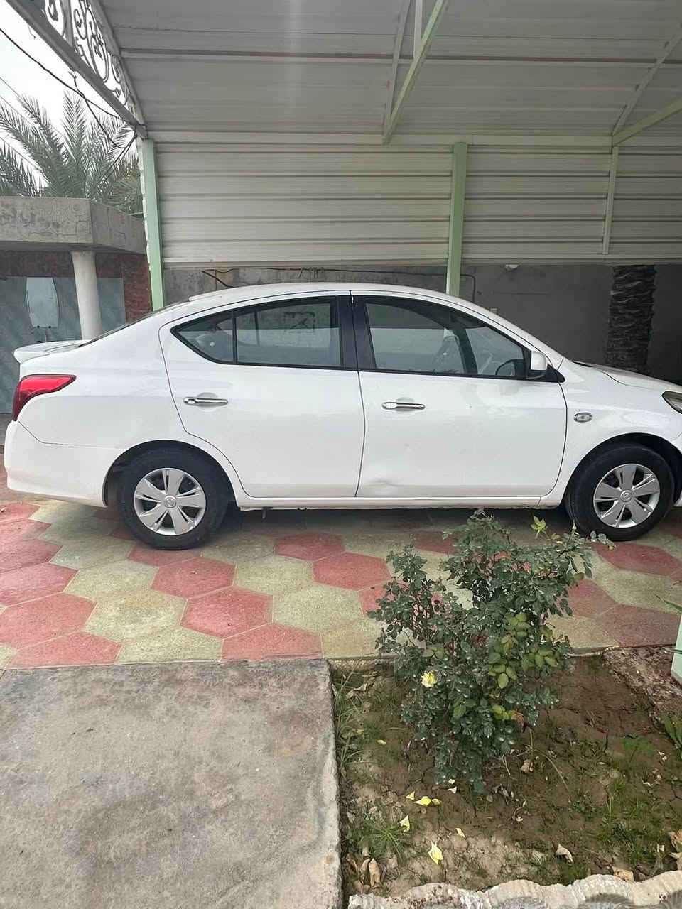 سني هندي بيلته زركه ماشي 152 بدون صبغ اي ستفسار وتساب *********** موديل 19

