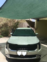 كرنفال SX • ٢٠٢٥ • حادث خفيف