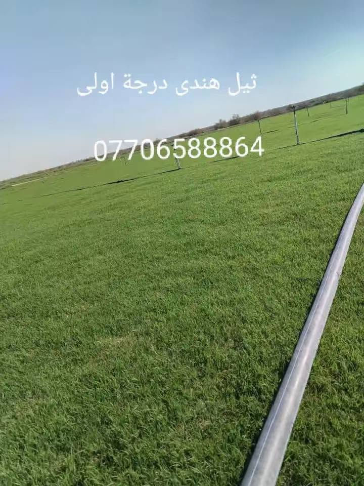 متابعينة الكرام //يتوفر جميع انواع الثيل من مزرعة  مشتل التاجي (ثيل هندي )(ثيل فرنسي )(ثيل ايطالي) بسعار مناسبه يوصلك الباب البيت مباشر من المزرعه فريش وريان للحجز والاستفسار
*********** يتوفر واتساب
*********** يتوفر واتساب
متابعينة الكرام //يتوفر جميع انواع الثيل من مزرعة  مشتل التاجي (ثيل هندي )(ثيل فرنسي )(ثيل ايطالي) بسعار مناسبه يوصلك الباب البيت مباشر من المزرعه فريش وريان للحجز والاستفسار

نص مكتوب في الصور:
- ثيل هندى درجة اولى ***********
- *********** فرنسي
- ثيل هندی درجة اولى ***********
- زميج خاص للحدائق ***********