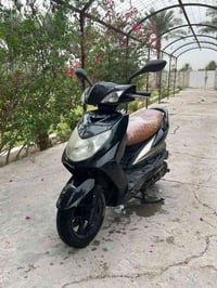 سكنس فحل • نضافة • عاوجه