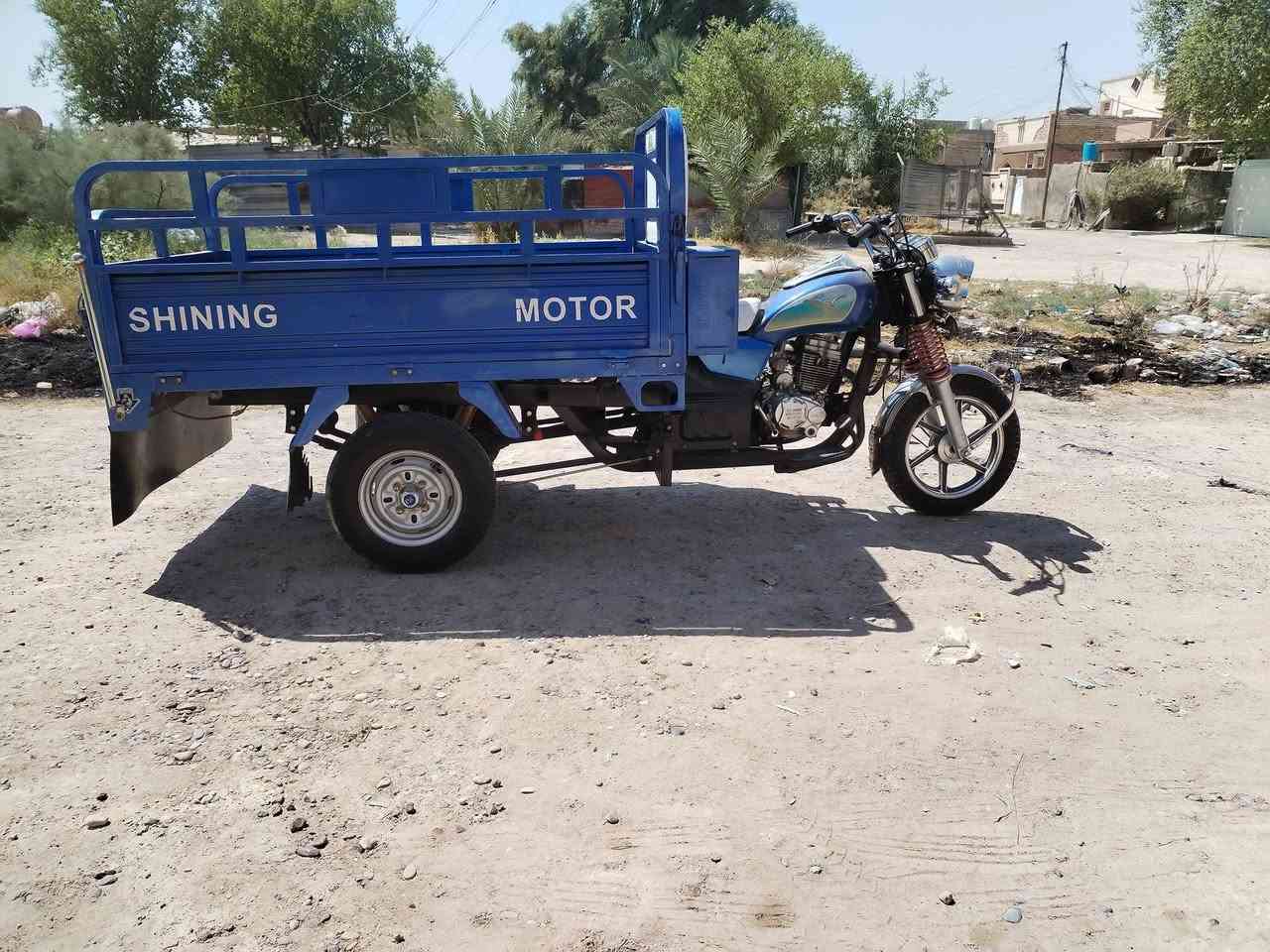ستوتة جمرة • فحل • ٢٠٢٣