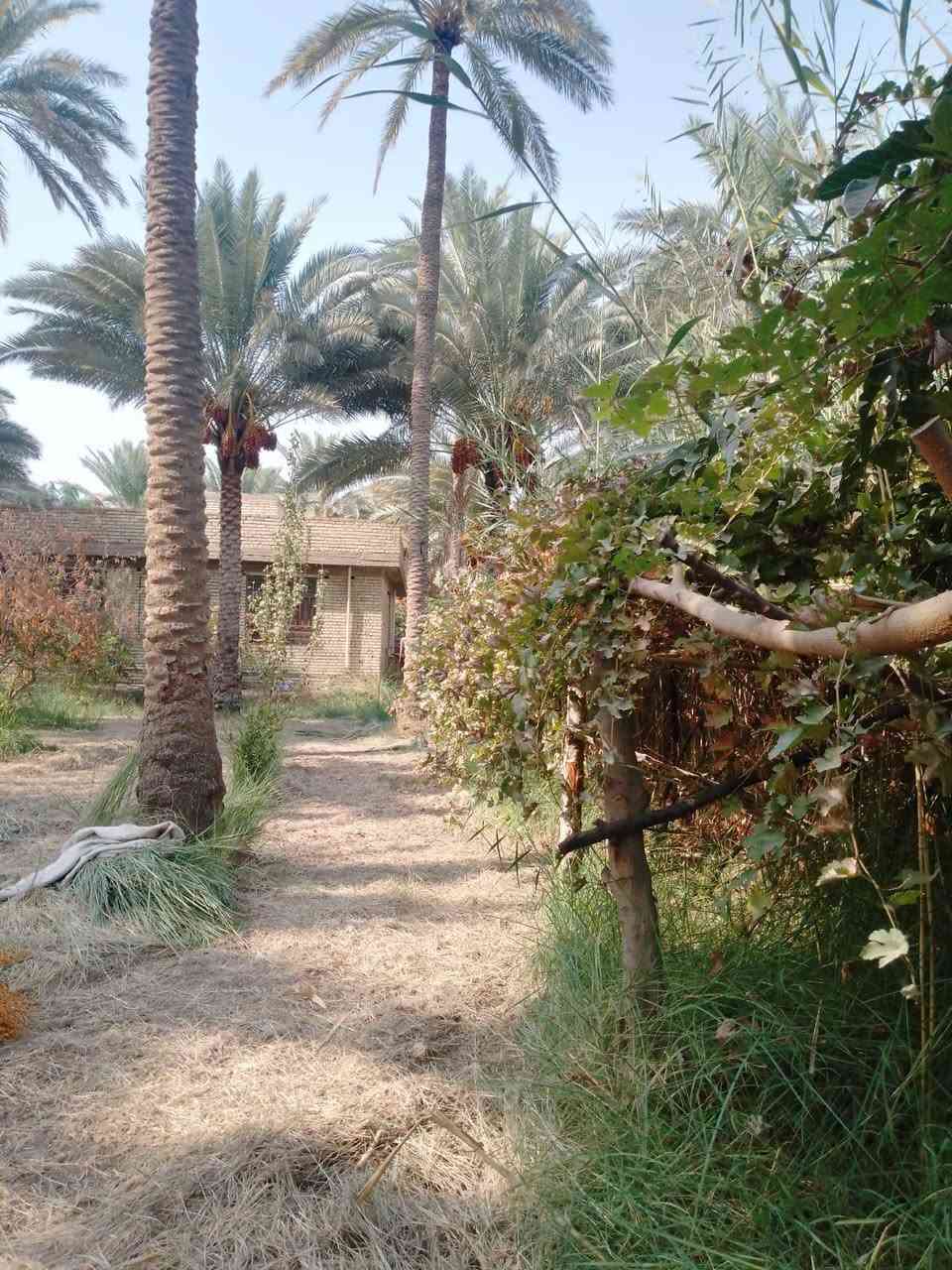 دونم • دار ٢٢٥م • طريق بغداد عمود ٥٤