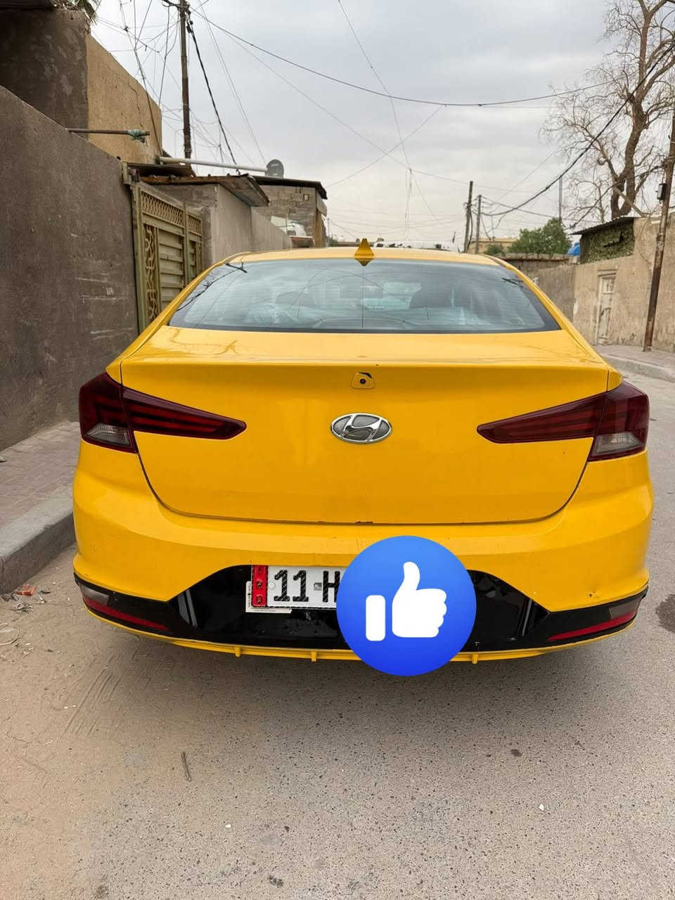 النترا • ٢٠١٩ • وارد امريكي