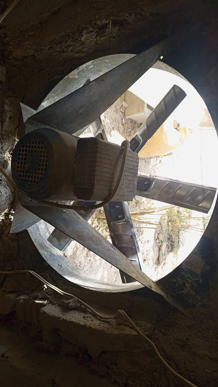 السلام عليكم متاح حقل زجاجي: 
لطول 30 متر الي مستخدمه 17 متر
عدد المفرغات 8
معالف ومناهل مال 17 متر
ماطورات مي عدد2
مولدات عدد2
مكاني ديالى ناحية الوجيهية اي استفسار اتصل***********
