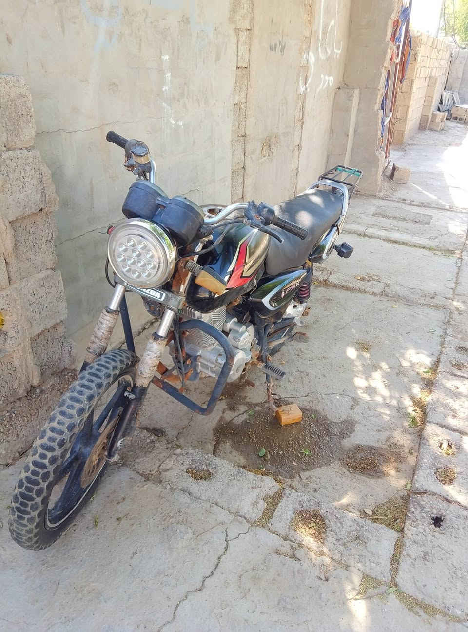 جني • ٢٠١٣ • اوراق كامله