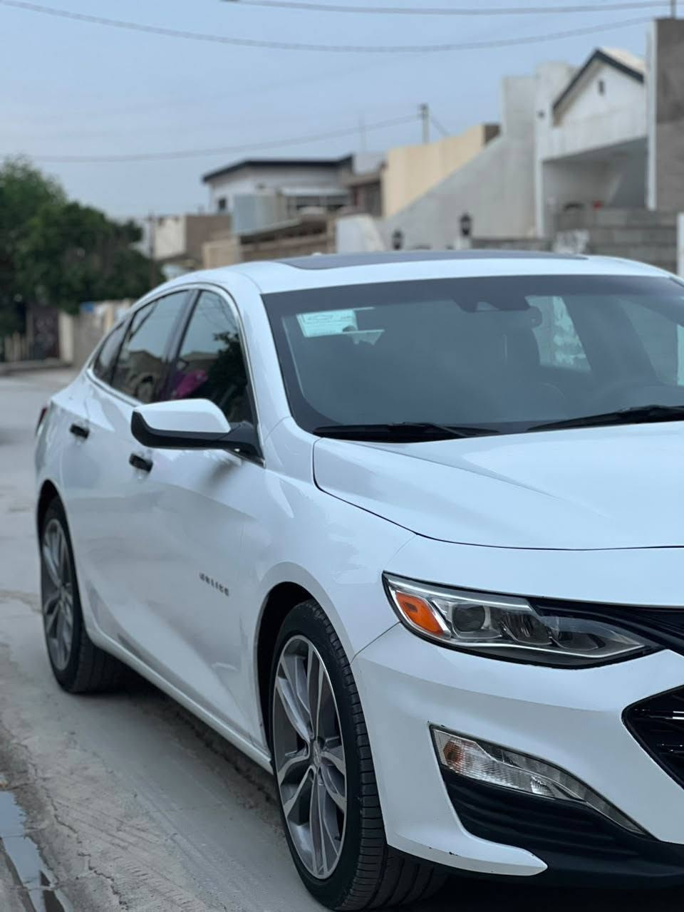 ماليبو • ٢٠٢٤ • رقم اربيل