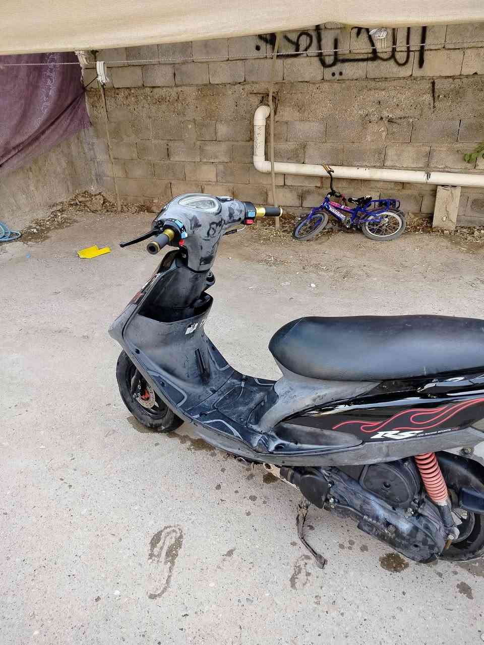 ماكس عدلة • كاملة • بوشة بلادية ٤٩