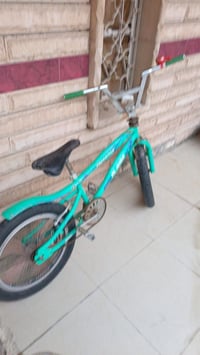 باسكل • واتساب