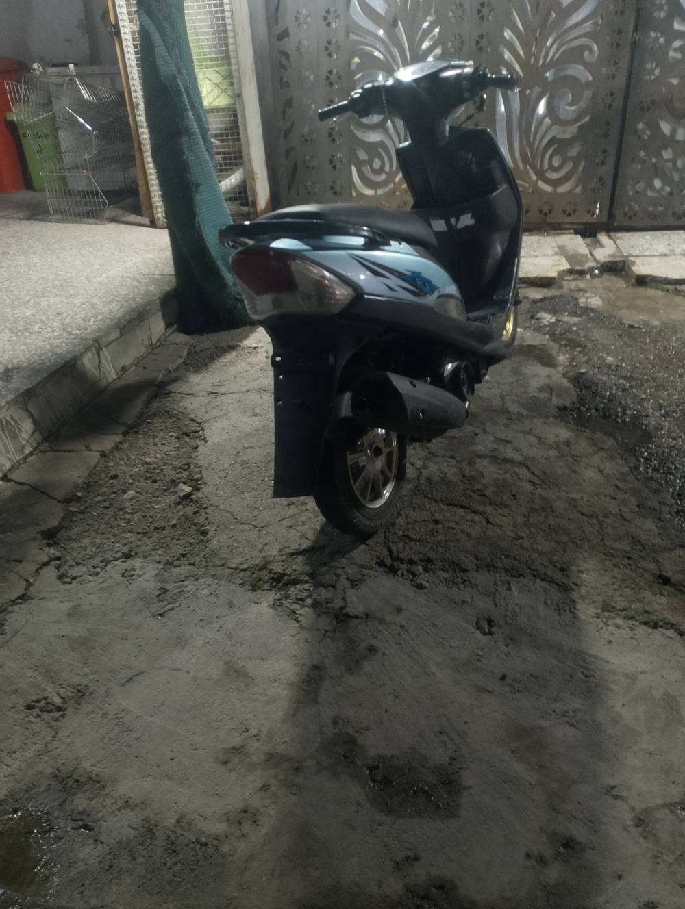 جيتي ار • سكنس فحل • نضيفه