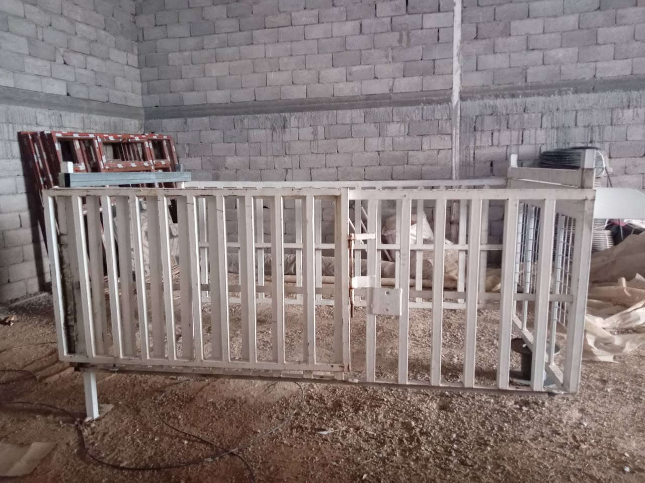 محجل كيه • حديد قوي • درجة اولى