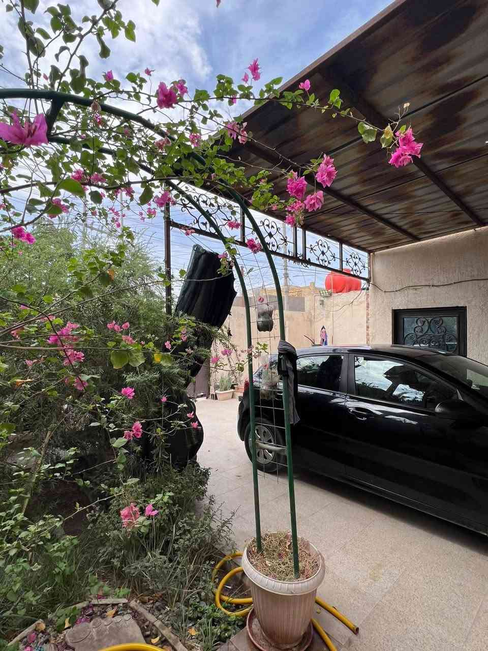 شارع البوحليمة • ٢٥٠م • طابو صرف