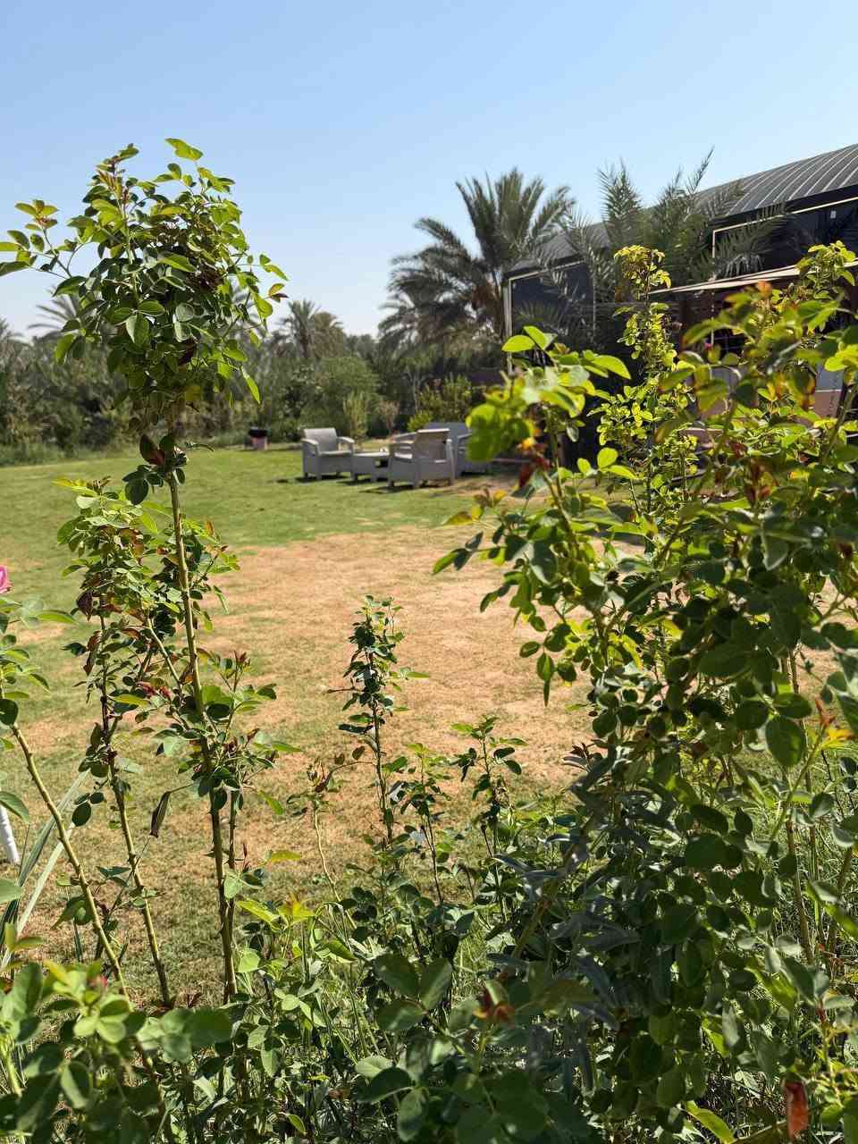بغداد كاظميه • مزرعة 3025 • مسبح مغلق ماي حار