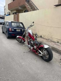 ستيد • ٦٠٠ • سنوية