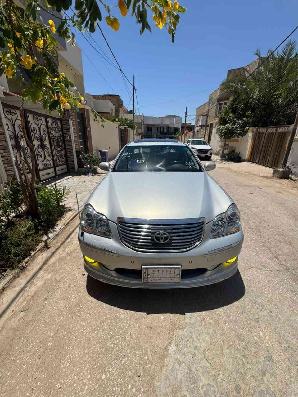 ماجسته • فول • رقم بغداد