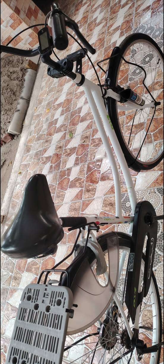 باسكل • نضيف • موديل ٢٠٢٣