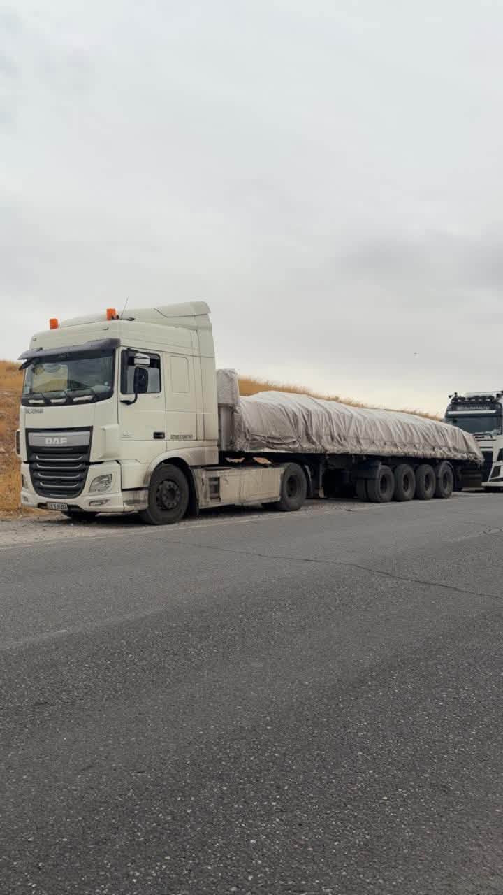داف • ٢٠١٧ • تواير جديدة