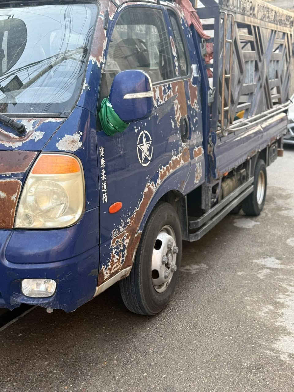 فحل مسكر سبلاين • ٢٠١١ • كفالة عامه