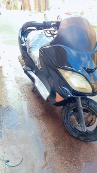 فورزا • شغاله • كفرات تعبانه