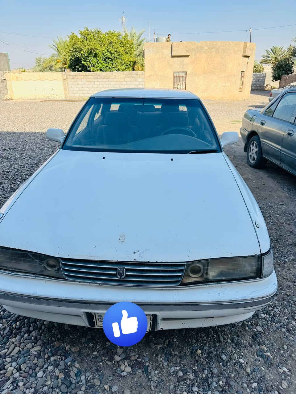 مسطره • كير شرط • تواير جداد