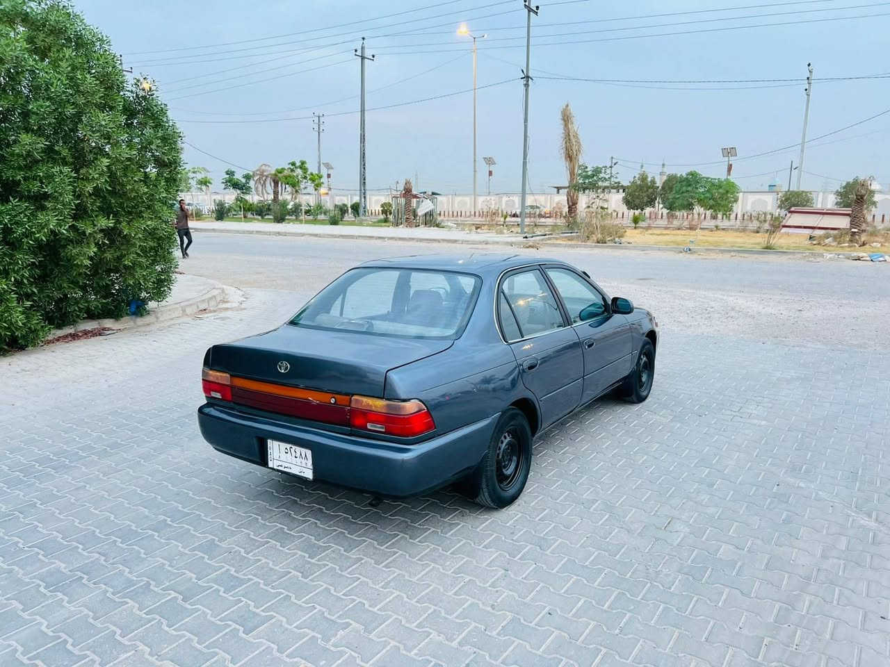 كورلا • ٩٢ • رقم بابل