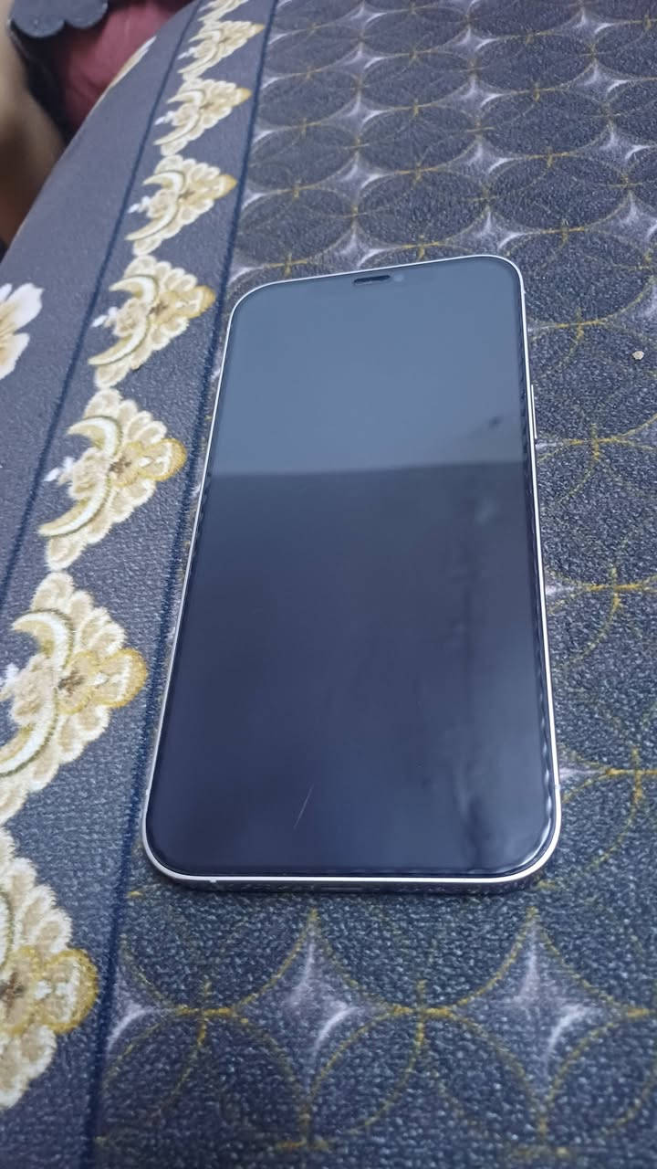 ايفون ١٢ برو ماكس • ٢٥٦ • بغداد الجديده