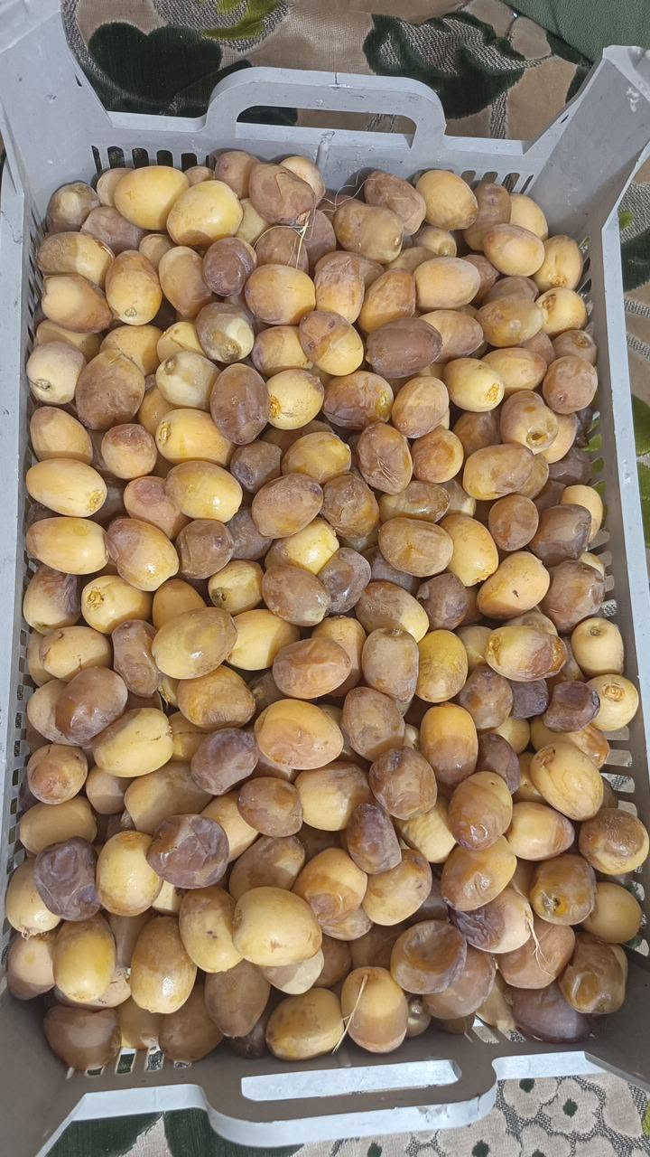 تمر برحي مباشر من البستان تجي تأخذ بيدك حسب الطلب 
اكو اعثوك اصفر 
النجف كوفه 
***********واتساب
